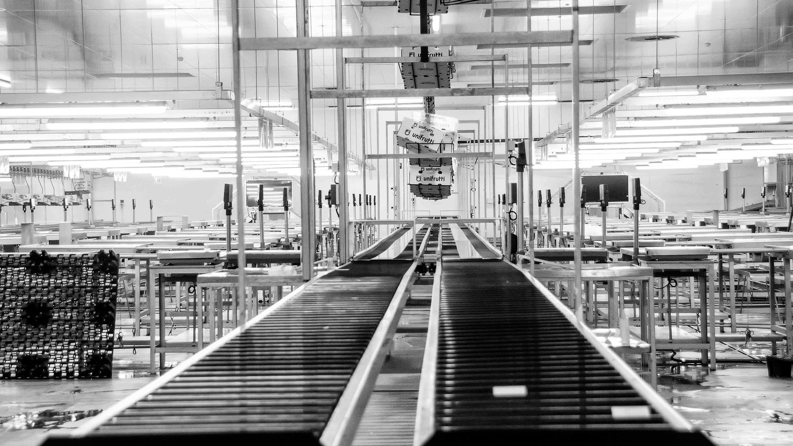 Costo real de AI Camera en líneas de envasado y cálculo de ROI