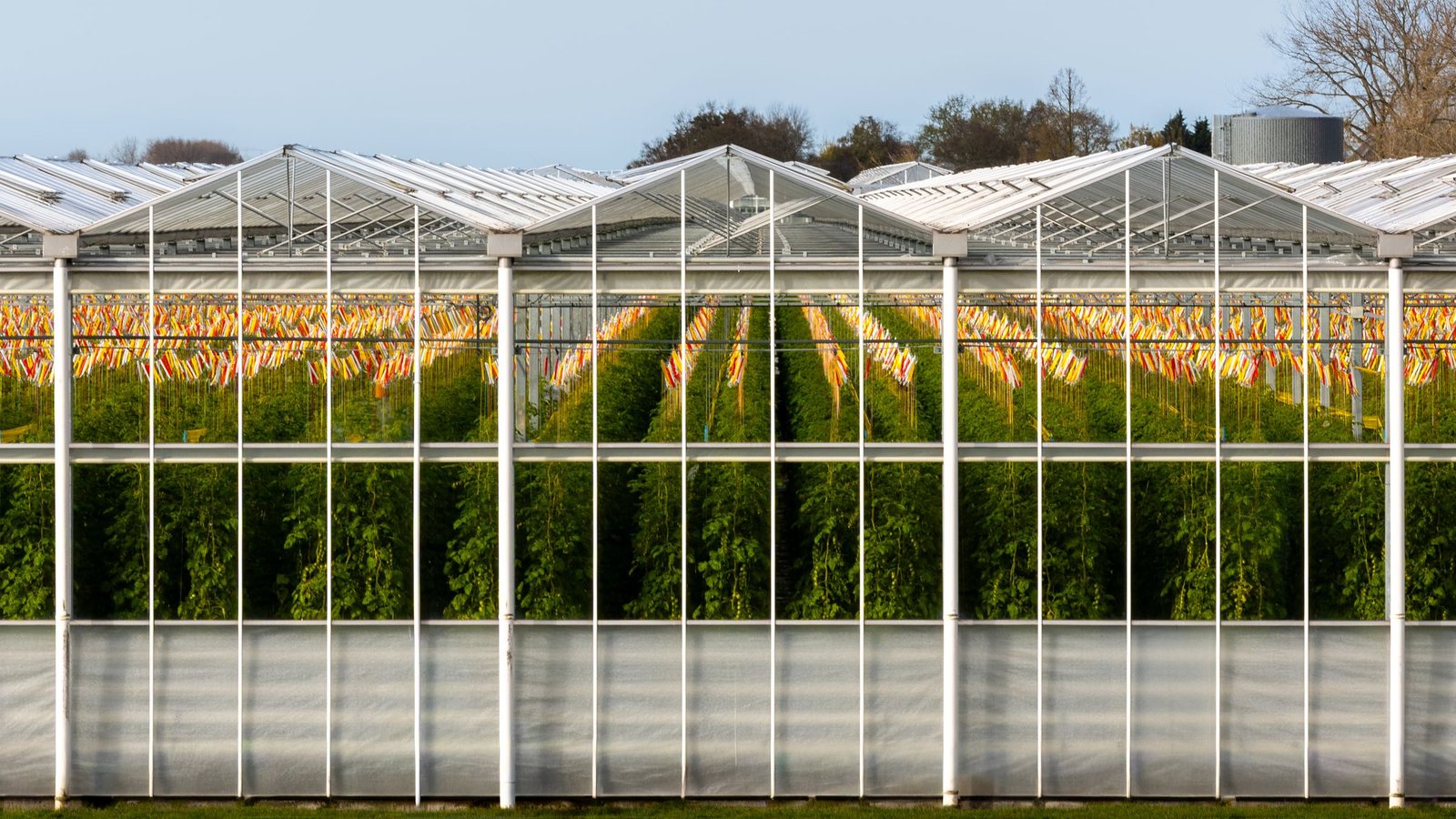 Lista de verificación para implementar AI Camera en agricultura